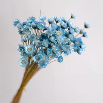 Flori uscate Mini Daisy Decorative Stea Mică Buchet de Flori Naturale, Plante Păstra Florale pentru Nunta Acasă Decorat 30/50pcs